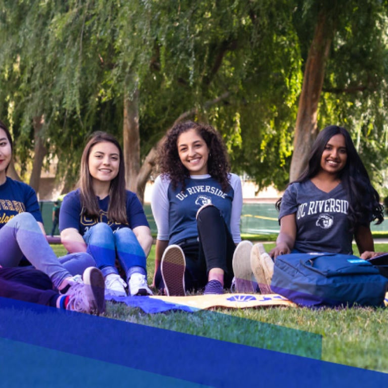 Latest Blog for November 12th, 2020 | Undergraduate Admissions