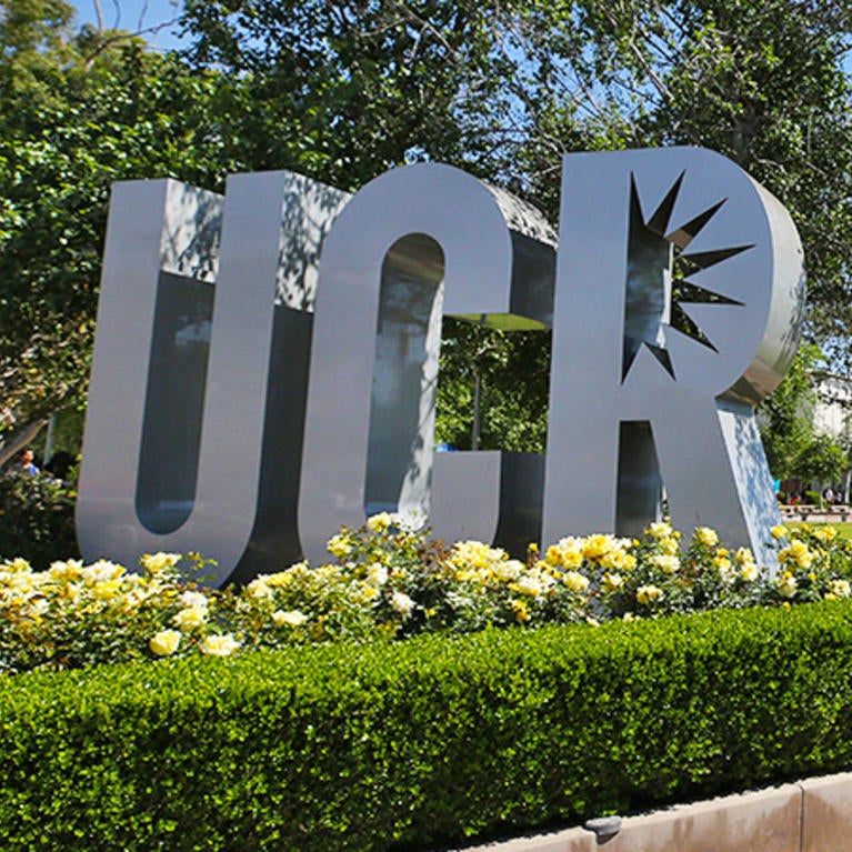 Latest Blog for October 28th, 2021 | Undergraduate Admissions