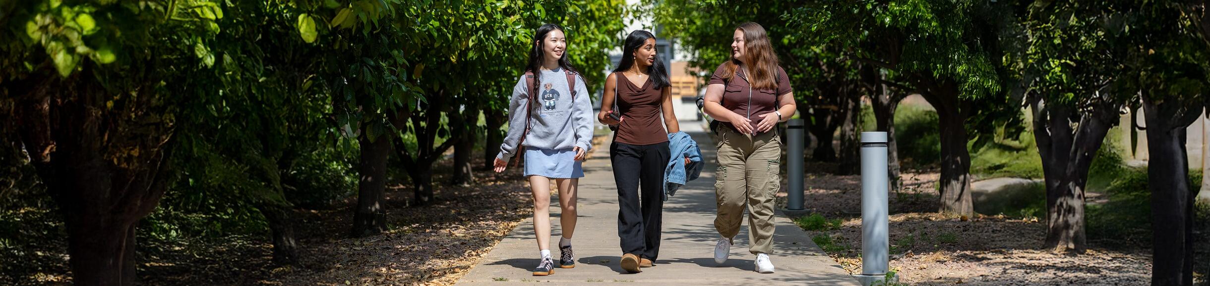 UCR students walking through campus
